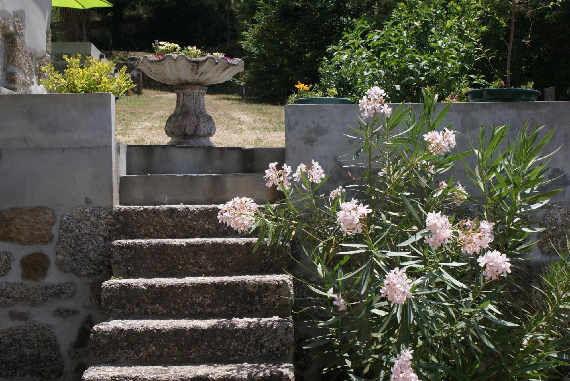 Quinta Da Encavalada Villa Nogueira do Cravo Екстериор снимка